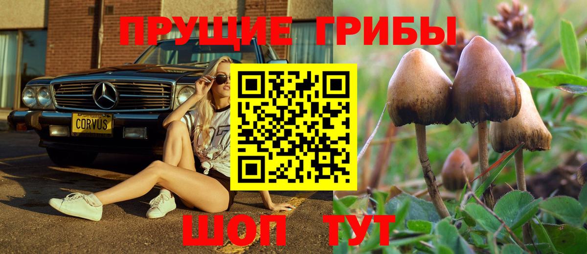 даркнет сайт  Псилоцибиновые грибы мицелий  Вход с VPN  Лангепас 